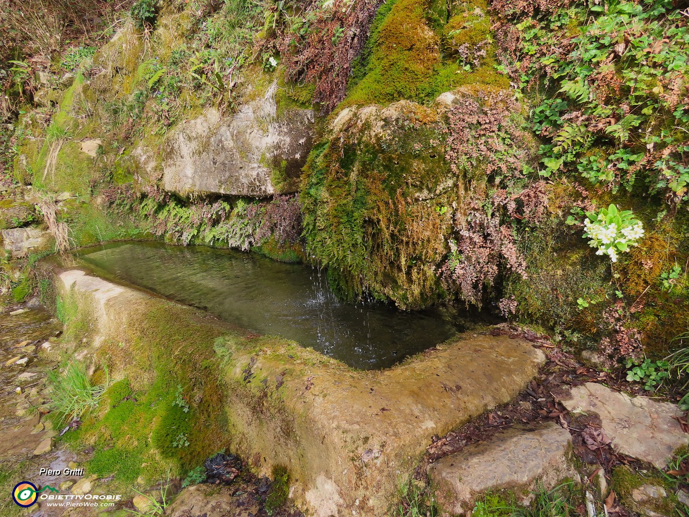 24 Fontana da sorgente d'acqua viva.JPG